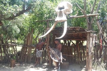 Traditional Tribal Village Tour