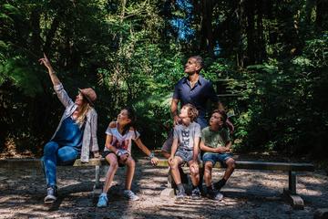 Guided Forest Tour of Sanctuary Mountain
