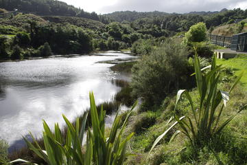 Tuatara Wetlands Tour at Sanctuary Mountain