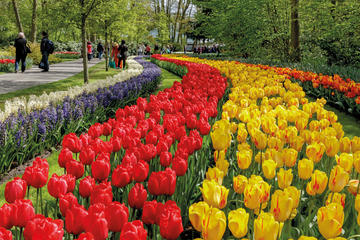Skip the Line Keukenhof Gardens Admission Ticket with Transportation from Amsterdam