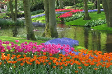 Skip-the-line Keukenhof Gardens including Transportation from Amsterdam and Fast-Track Entrance to the Rijksmuseum