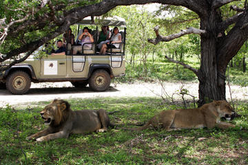 2 Days 1Night Selous Game Reserve