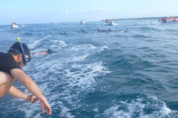Dolphins and Jozani Forest Reserve Wildlife Tour from Zanzibar