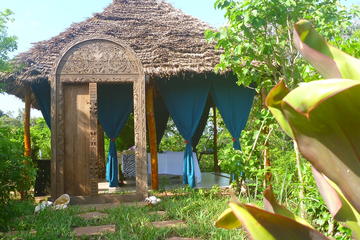 Jozani Forest & Village Spa Includes Swahili Lunch in Zanzibar
