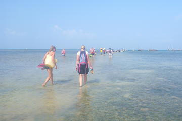 Kwale Island Dhow Sailing Tour from Zanzibar with Seafood Lunch