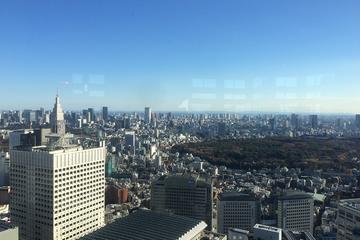 Tokyo City Tour: Private Chauffeur Guide with Chartered Car