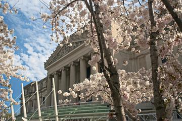 Brooklyn Museum General Admission