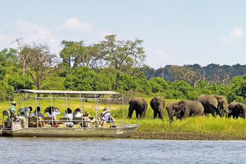 Chobe National Park Day Trip from Victoria Falls