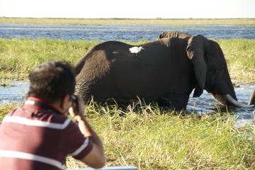 Chobe River Game Cruise