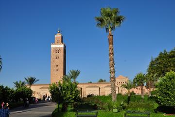 Marrakech City Highlights Guided Full-Day Tour