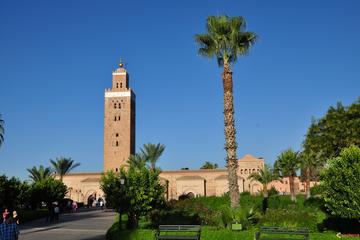 Marrakech City Highlights Half-Day Tour