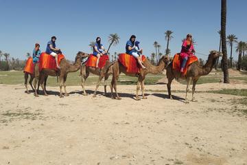 Marrakech Palm Grove Camel Ride with Tea Break