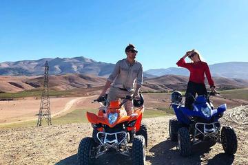Quad biking in Marrakech desert palm grove