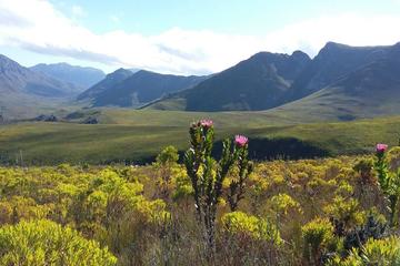 KOGELBERG BIOSPHERE HIKE