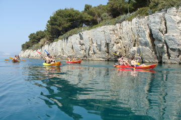 Half-Day Split Sea Kayak Adventure