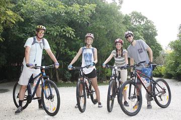Mayan Jungle Mountain Bike Tour for Beginners with Cenote Swim
