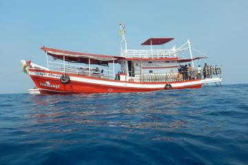 Full Day Dive Adventure in National Marine Park Koh Rang including 2 Dives and Lunch