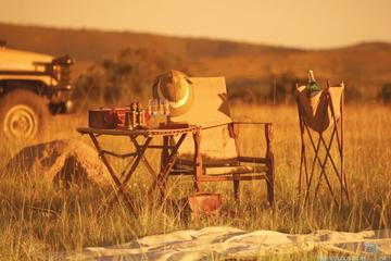Full-Day Kruger Wildlife Safari from Hoedspruit