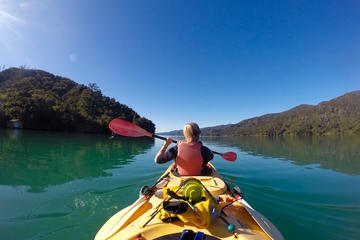 Full-Day Guided Sea Kayaking Trip from Anakiwa