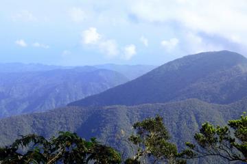 Scenic Blue Mountain Tour from Ocho Rios