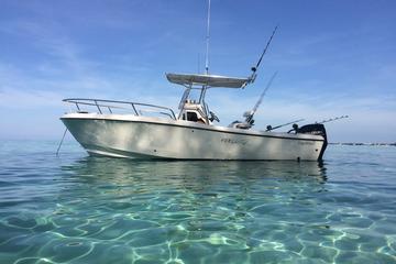 Private Fishing and Snorkeling Island Adventure