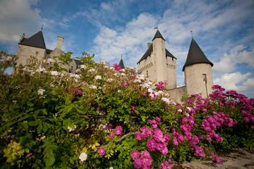 Loire Valley Chateau du Rivau and Gardens Admission Ticket with Audioguide