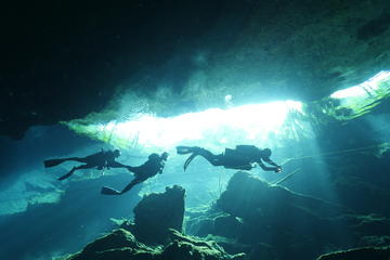 Two-Tank Dive at a Cenote from Playa del Carmen