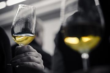 Wine Tasting Experience in Barcelona