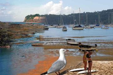 Sydney's Northern Beaches - Paradise in a city
