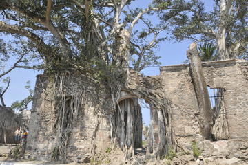 Antigua-Cempoala and Quiahuiztlan Archaeological Day Trip