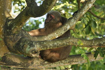 Catemaco and Los Tuxtlas Natural Adventure Day Trip