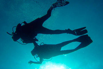 Diving and Reefs in Veracruz