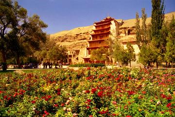 Buddhism art one day tour in Dunhuang