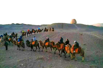 Private camel riding in the Gobi desert