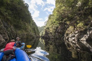 Half-Day King River Gorge Kayaking Tour