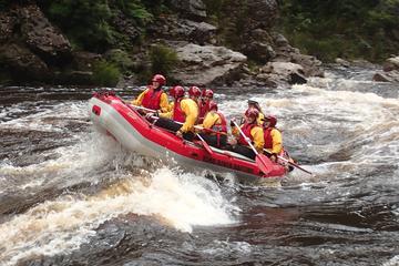 King River White Water Raft Journey from Queenstown with Lunch