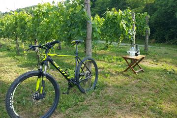 Goriska Brda by bike - day tour