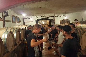 Wine tour - half day tour