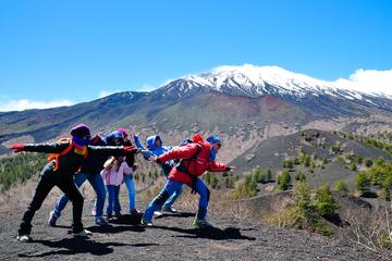 Mt. Etna 4WD Tour from Catania with Local Food Tasting