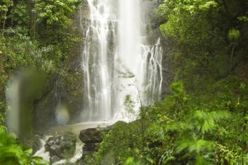Private Hana Adventure