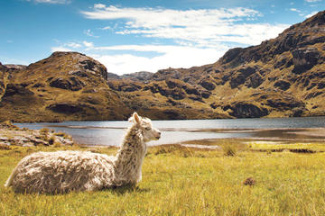 Private Day Tour to Cajas National Park from Cuenca