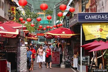 Private Tour: Singapore Sightseeing with Botanical Orchid Garden