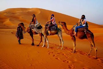 4-Day Small-Group Tour from Marrakech to Fez via the Desert