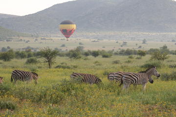 Hot Air Balloon Safari at Pilanesberg National Park