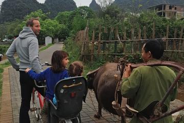 1 Day Yangshuo Countryside Cycling and Yulong bamboo boat Private Day Tour