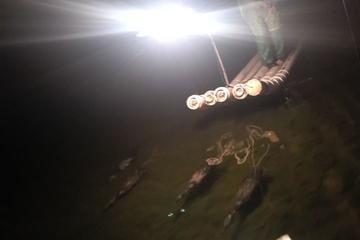 Yangshuo Cormorants Fishing Show At Night With The English Speaking Driver