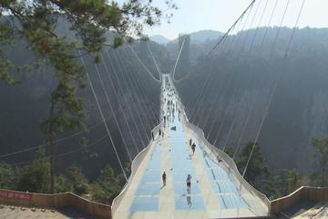 Zhangjiajie Grand Canyon with Glass Bridge Private Day Tour