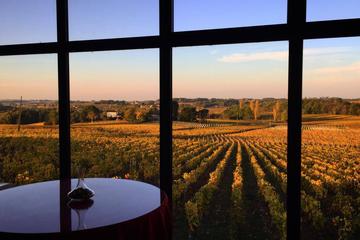 Bordeaux wineries visit with tasting  from San Sebastian
