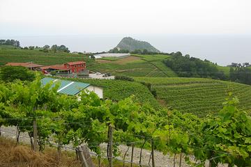 Getaria and Zarautz Txakoli Wine Tour from San Sebastian with Tastings