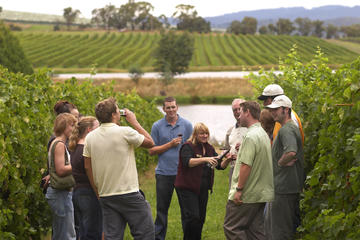 San Sebastian La Rioja Wine Tour with Two Winery Visits and Tastings